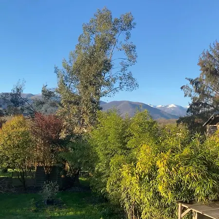 Des Pyrenees Tuzaguet