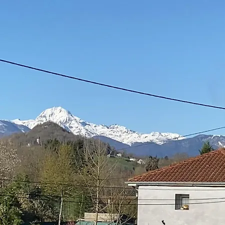 Des Pyrenees * Tuzaguet