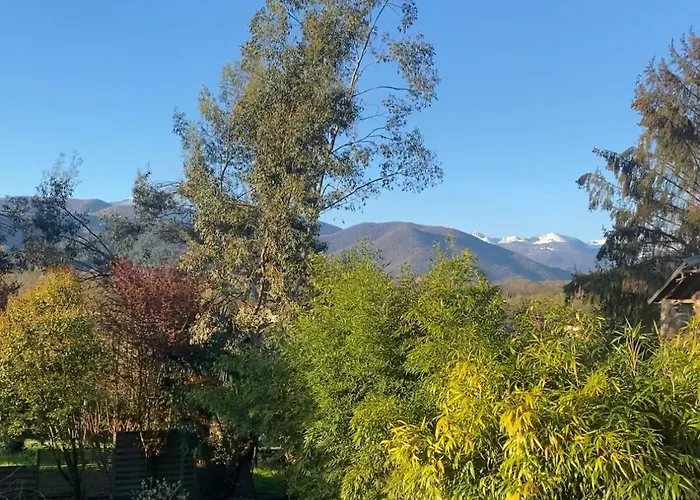 Des Pyrenees Tuzaguet